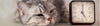 Teach Any Cat AeroKat* - 4: Extending the Duration