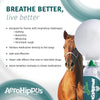AeroHippus* Chamber