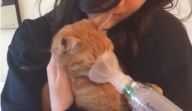 Tabbie & Hamish