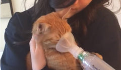 Tabbie & Hamish