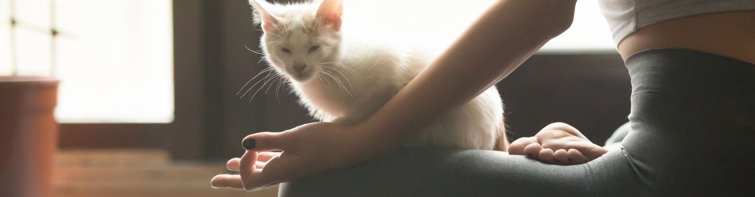 young-yogi-woman-meditating-with-cat