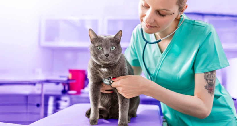 Respiratory Educator with Cat