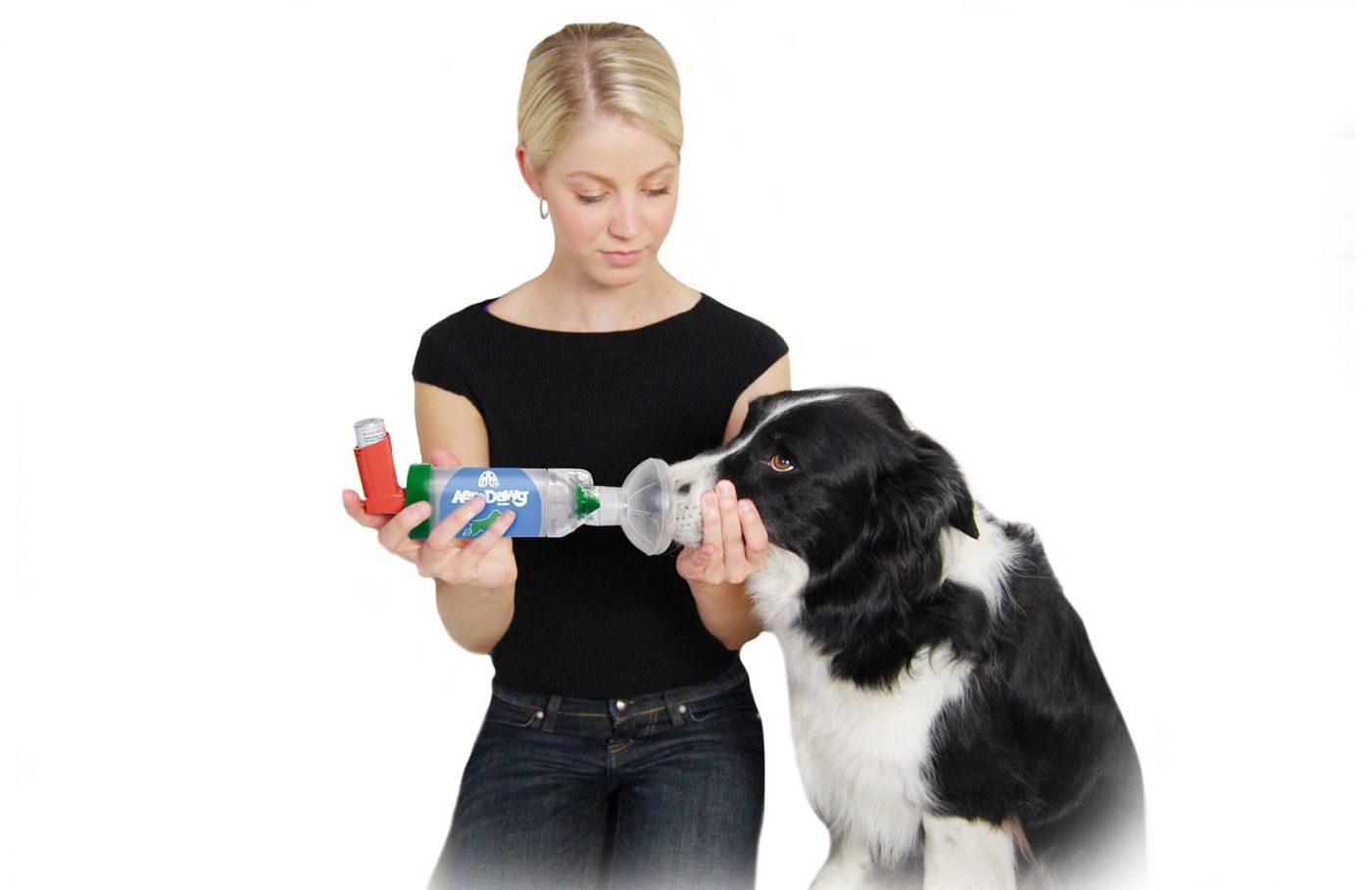 Dog hot sale asthma inhaler